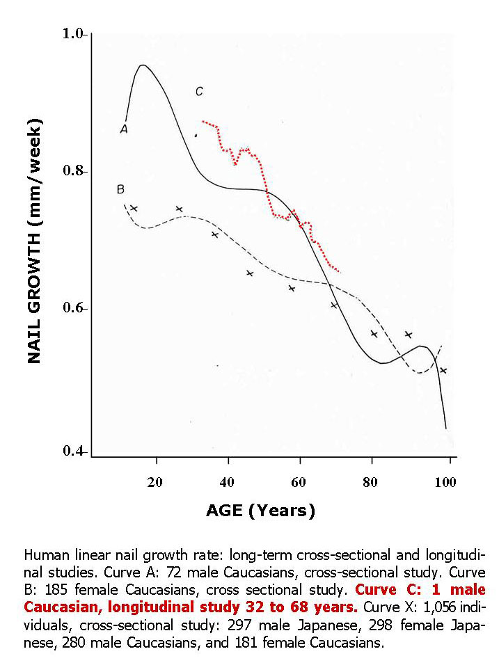Rate of nail growth with age: cross-sectional and longitudinal human studies